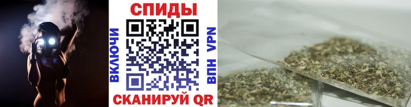 купить цена Судогда Бутират BDO 33%