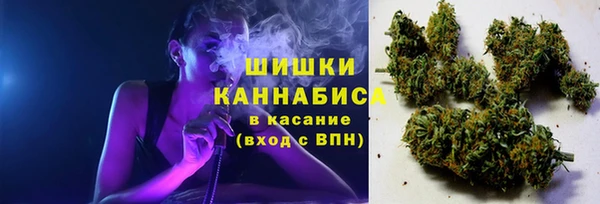 стафф Зеленокумск