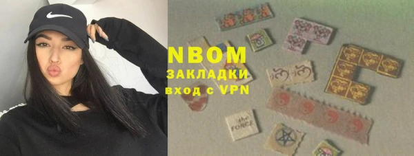 гидра Абаза