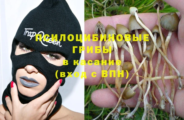 гашик Алзамай
