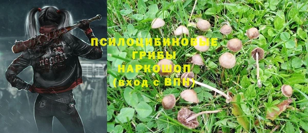 ECSTASY Абинск