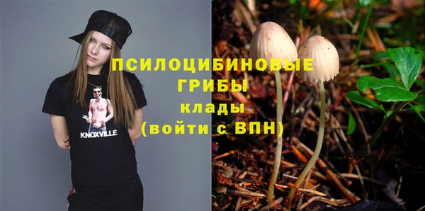 мяу мяу мука Абдулино